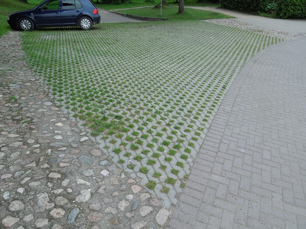 Лето в Литве.   Мой 