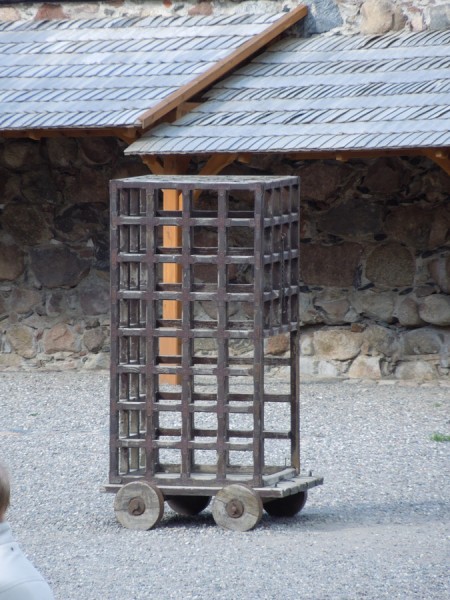 Лето в Литве.   Мой 