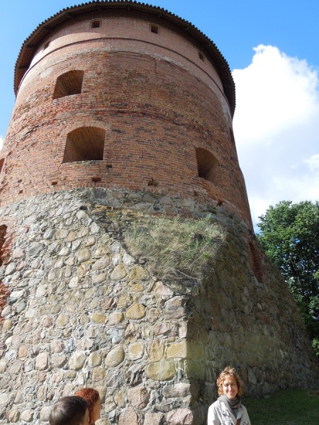 Лето в Литве.   Мой 