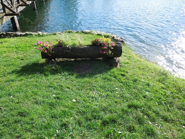 Лето в Литве.   Мой 