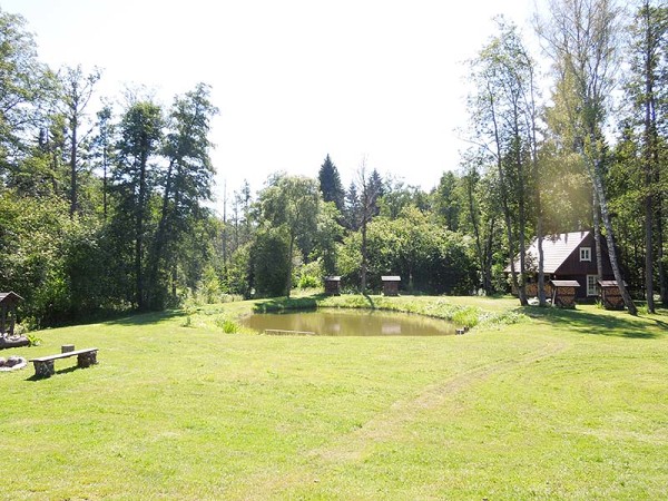 Лето в Литве.   Мой 