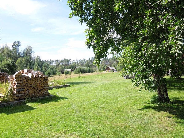 Лето в Литве.   Мой 