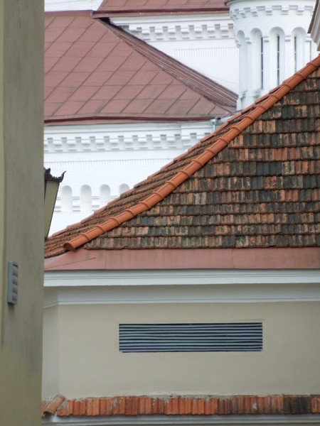 Лето в Литве.   Мой 