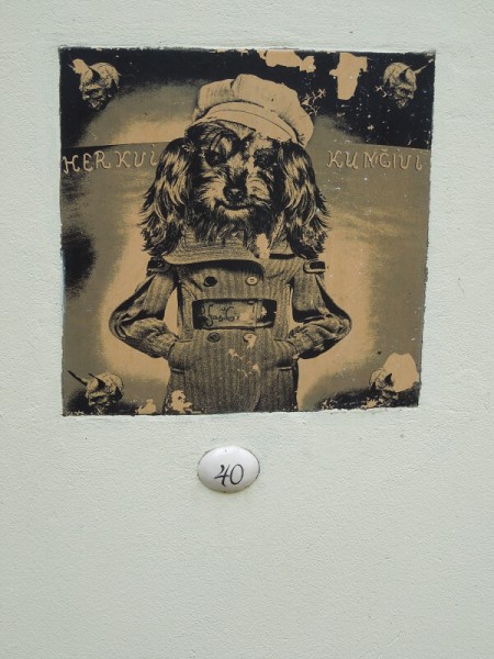 Лето в Литве.   Мой 