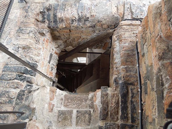 Лето в Литве.   Мой 