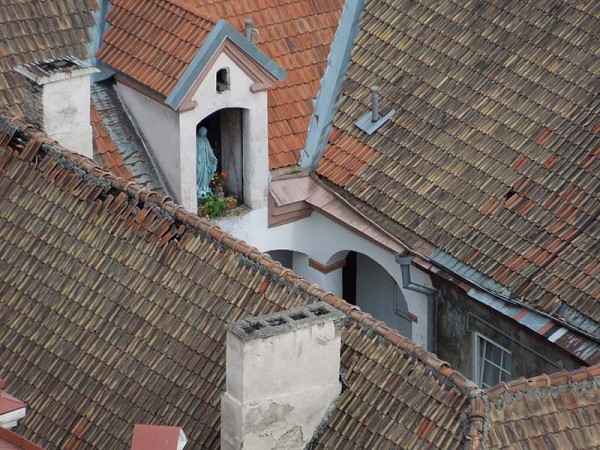 Лето в Литве.   Мой 