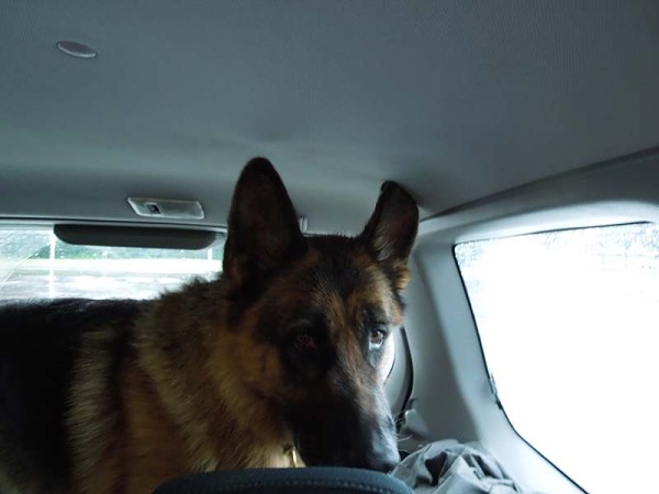 Лето в Литве.   Мой 