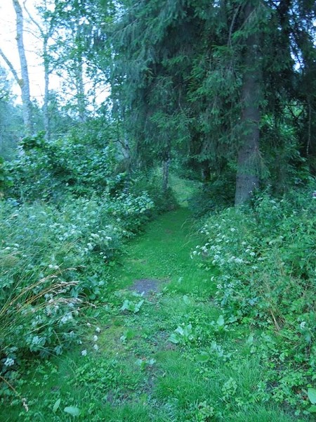 Лето в Литве.   Мой 