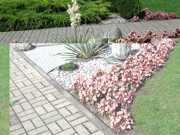 Лето в Литве.   Мой 