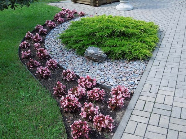 Лето в Литве.   Мой 