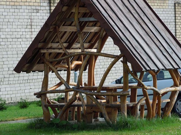 Лето в Литве.   Мой 