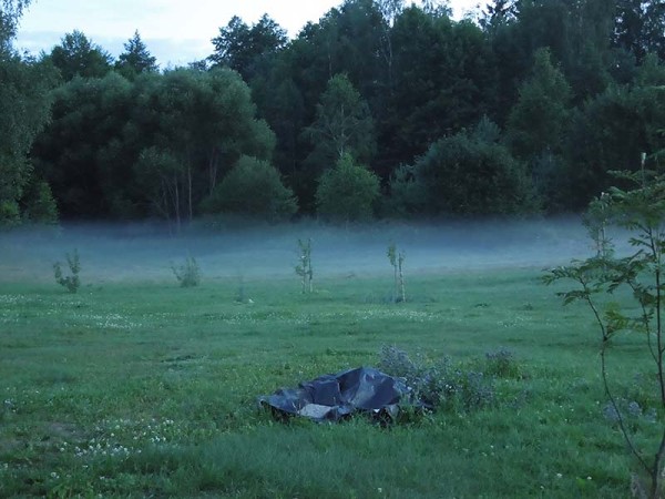 Лето в Литве.   Мой 