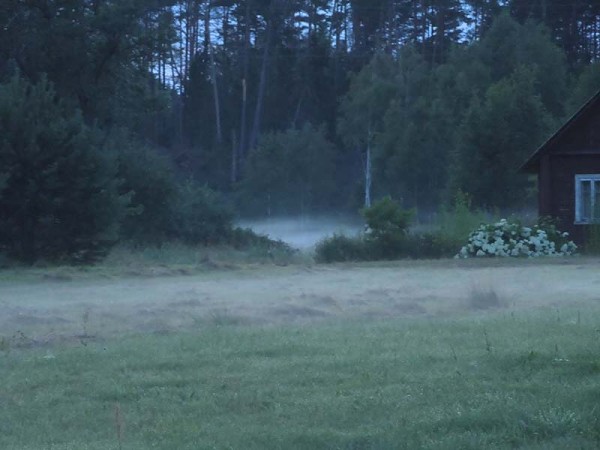 Лето в Литве.   Мой 