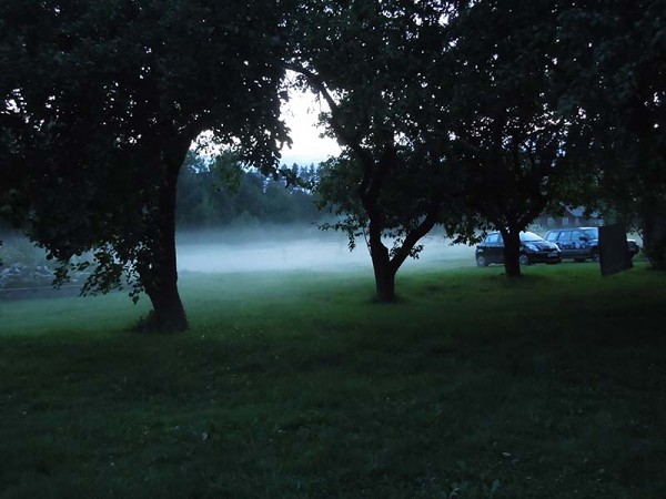 Лето в Литве.   Мой 