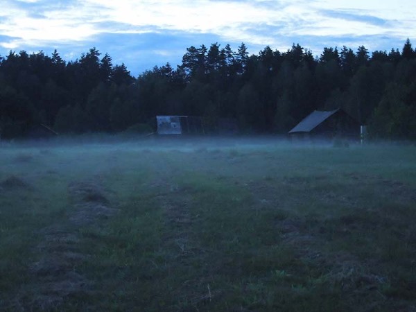 Лето в Литве.   Мой 