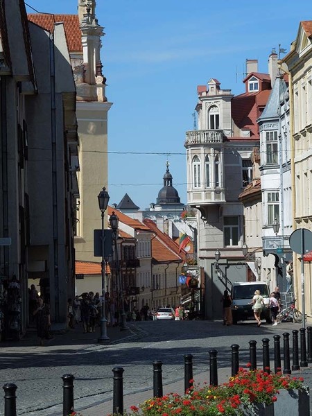 Лето в Литве.   Мой 